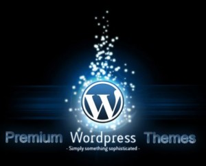 premium-wordpress-themes-428x348